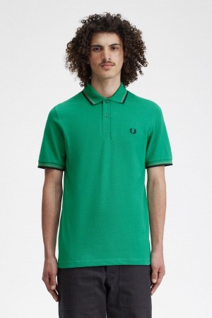 Camisa Polo Fred Perry M12 Hombre Verdes Verdes Negros | BMXSD59824