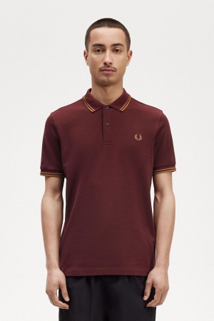 Camisa Polo Fred Perry M3600 Hombre Oxblood / Shaded Stone / Shaded Stone | DMXKV54298